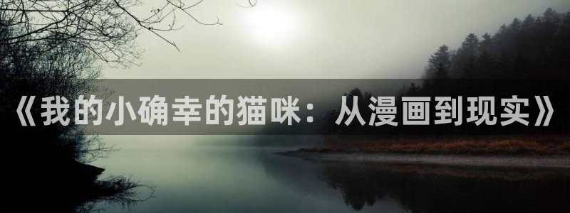 完结的bl漫画