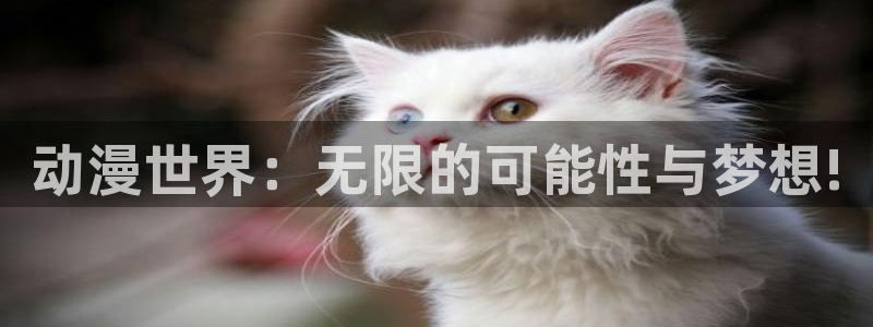 bl漫画打包下载