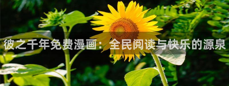 韩国bl漫画网