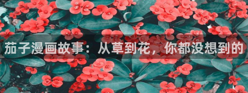 bl漫画黑猫男友的