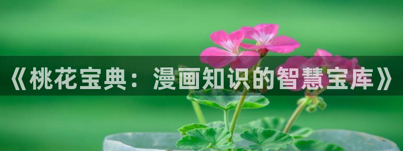 双胞胎bl漫画