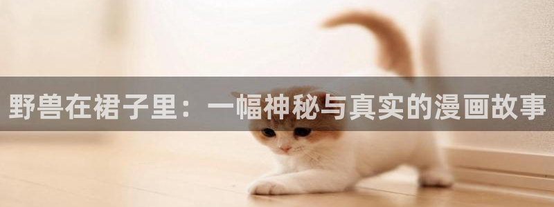 bl漫画app推荐