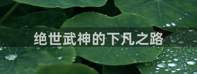 bl漫画哪个软件