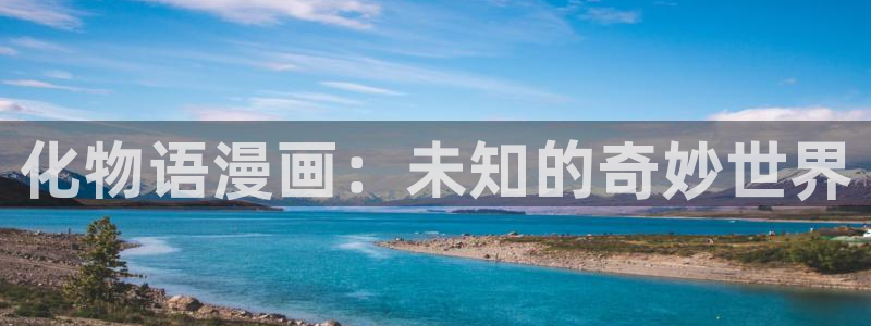 哪里能看bl漫画